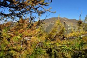 Anello dei MONTI ARETE (2227 m) e VALEGINO (2415 m) da Cambrembo di Valleve il 14 ottobre 2018 - FOTOGALLERY